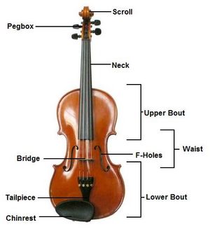 The Construction of a Violin